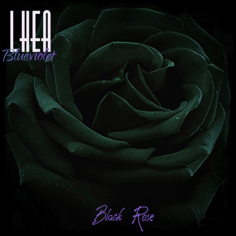 Black Rose | Boomplay Music