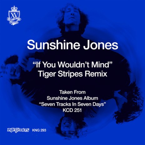If You Wouldn't Mind (Tiger Stripes Remix)