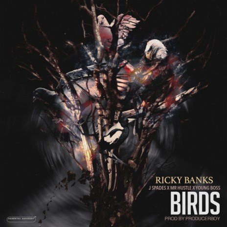 Birds ft. Young Boss, Mr Hustle & J Spades | Boomplay Music