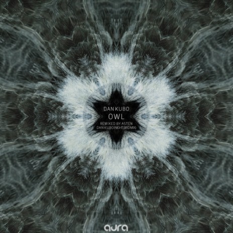 Owl (Dan Kubo Night Bird Mix) | Boomplay Music