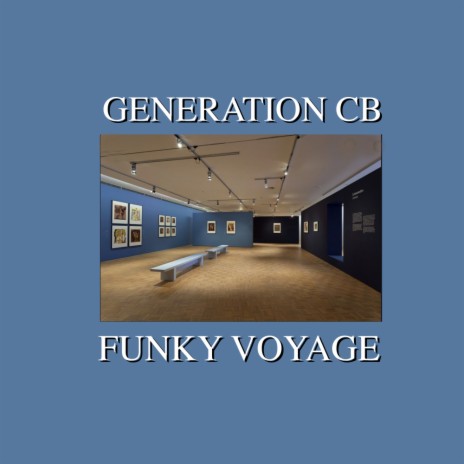 Funky Voyage (Original Mix)