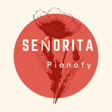 Señorita | Boomplay Music