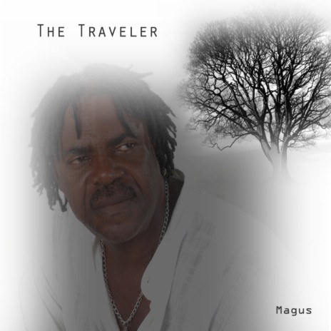 The Traveler | Boomplay Music