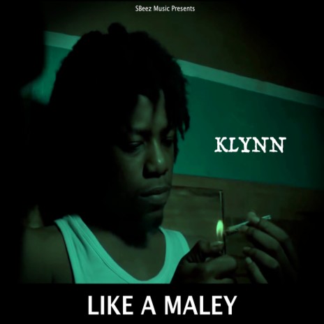 Like a Marley | Boomplay Music