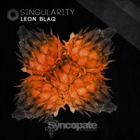 Singularity (Original Mix)