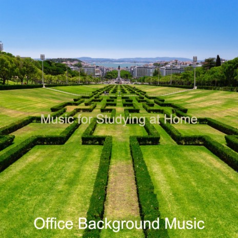 Cultured Soundscape for Working from Home | Boomplay Music