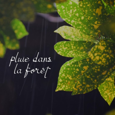 Pluie dans la Forêt, Pt. 02 | Boomplay Music