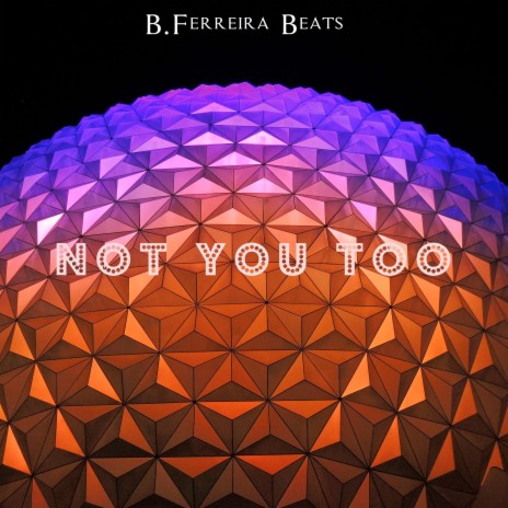 Not You Too | Boomplay Music