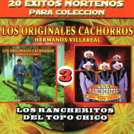 Petate Viejo ft. Los Rancheritos Del Topo Chico | Boomplay Music