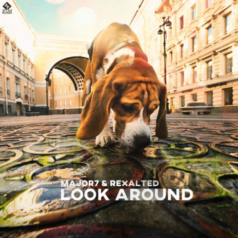Look Around (Original Mix) ft. Rexalted | Boomplay Music