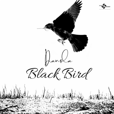 Black Birdie – ​get over it Lyrics