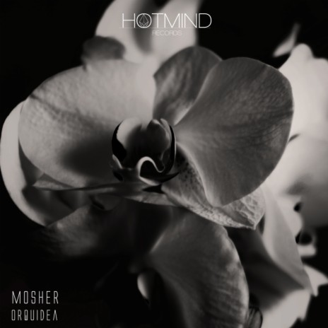 Orquidea (Original Mix) | Boomplay Music