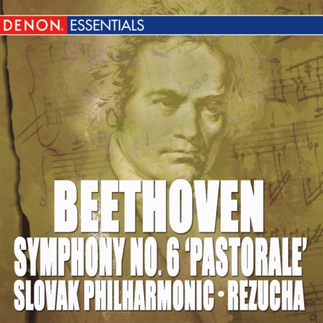 Symphony No. 6 in F Major "Pastorale", Op. 68: IV. Allegro ft. Bystrik Rezucha | Boomplay Music