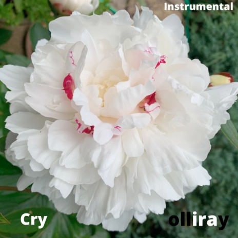 Cry (Instrumental) | Boomplay Music