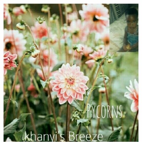 Khanyi's Breeze (We Work) | Boomplay Music