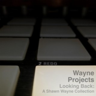 Wayne Projects