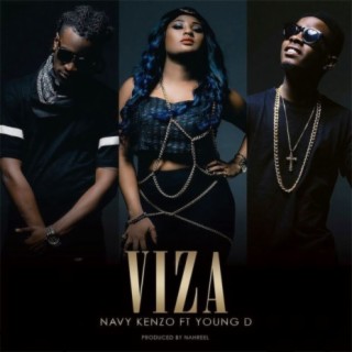 Viza ft. Young D lyrics | Boomplay Music