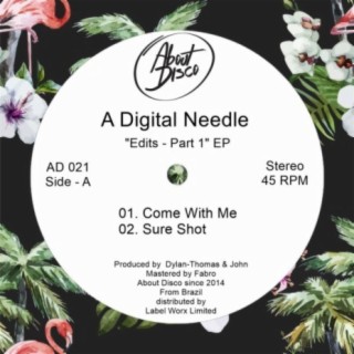 A Digital Needle