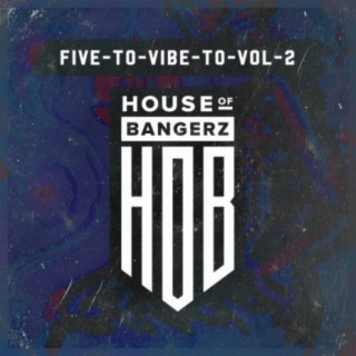 Five To Vibe To, Vol. 2