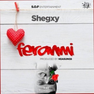 Feranmi (Reggae Version)