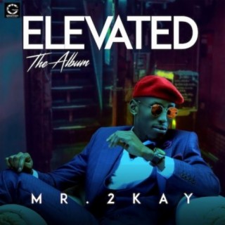 Elevated (The Album)