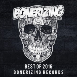 Best Of 2016: Bonerizing Records