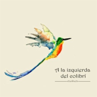 A la izquierda del colibrí