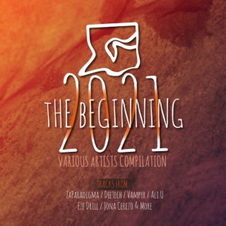 2021 The Beginning - Compilation