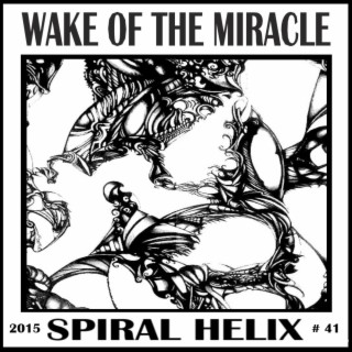 Wake Of The Miracle