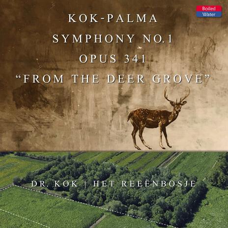 Symphony No. 1 in C Minor, Op. 341, From the Deer Grove: IV. Serene Dawn of Jubilation ft. Het Reeënbosje | Boomplay Music