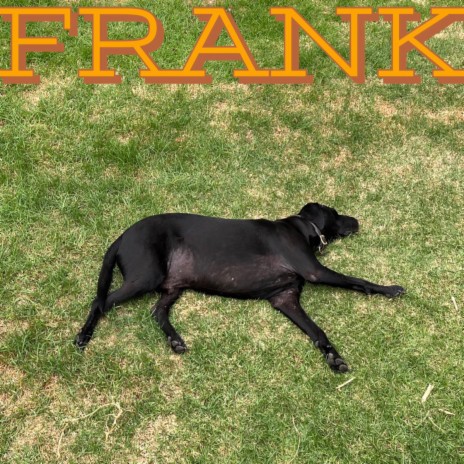 Frank | Boomplay Music