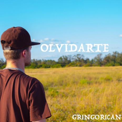 OLVIDARTE | Boomplay Music