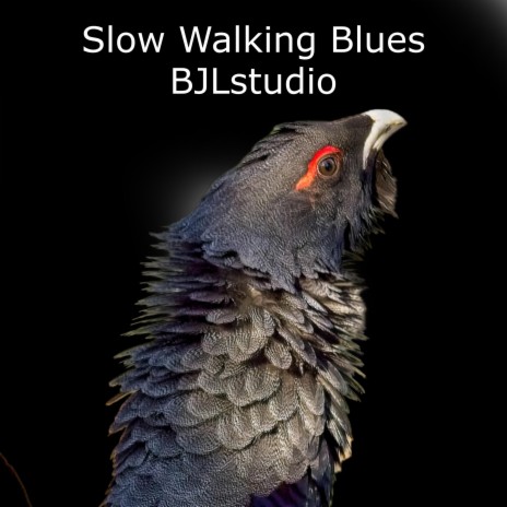 Slow Walking Blues