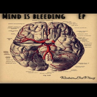 Mind Is Bleeding EP