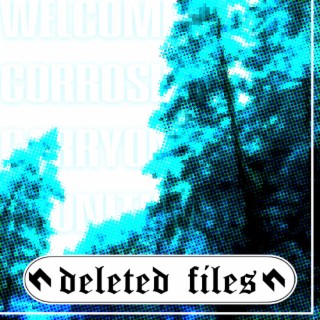 delted files