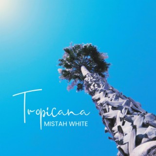 Tropicana lyrics | Boomplay Music