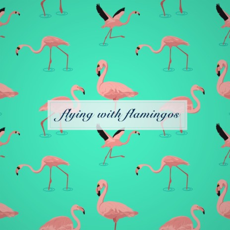 flying with flamingos | Boomplay Music