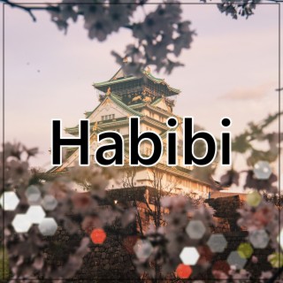 Habibi