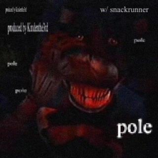 pole