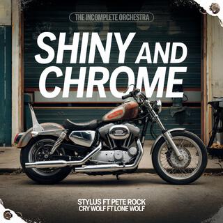 Shiny And Chrome The Single