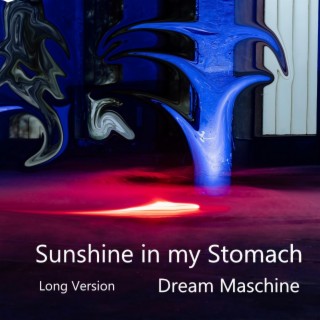 Sunshine In My Stomach (Long Version)