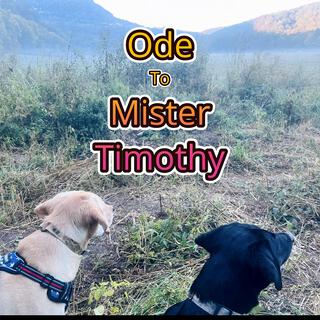 Ode To Mister Timothy