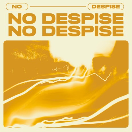 No Despise | Boomplay Music