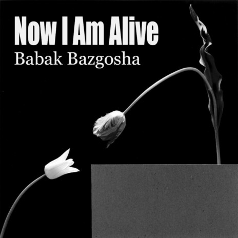 Now I Am Alive | Boomplay Music