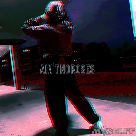 Ain't no roses | Boomplay Music