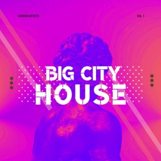 Big City House, Vol. 1