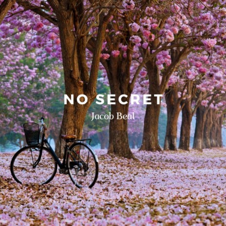 No Secret (Violin Solo) | Boomplay Music