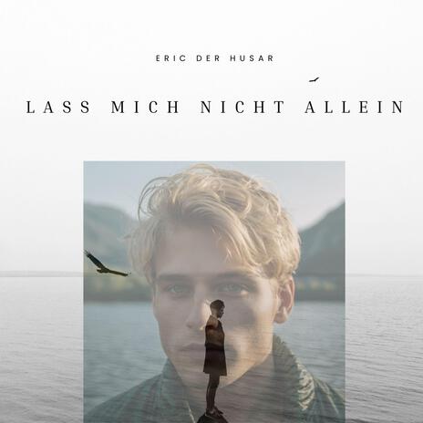 Lass mich nicht allein | Boomplay Music