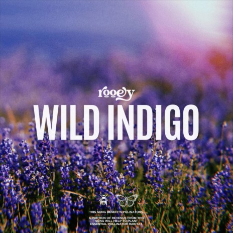 Wild Indigo | Boomplay Music