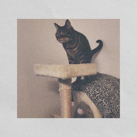 Cat Tree | Boomplay Music